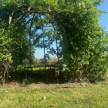Feriehus La Parenthese Champetre, Rdc Avec Grand Jardin, Table De Pique Nique Exterieure, Hamac, Confort Et Proche Toutes Comodites *